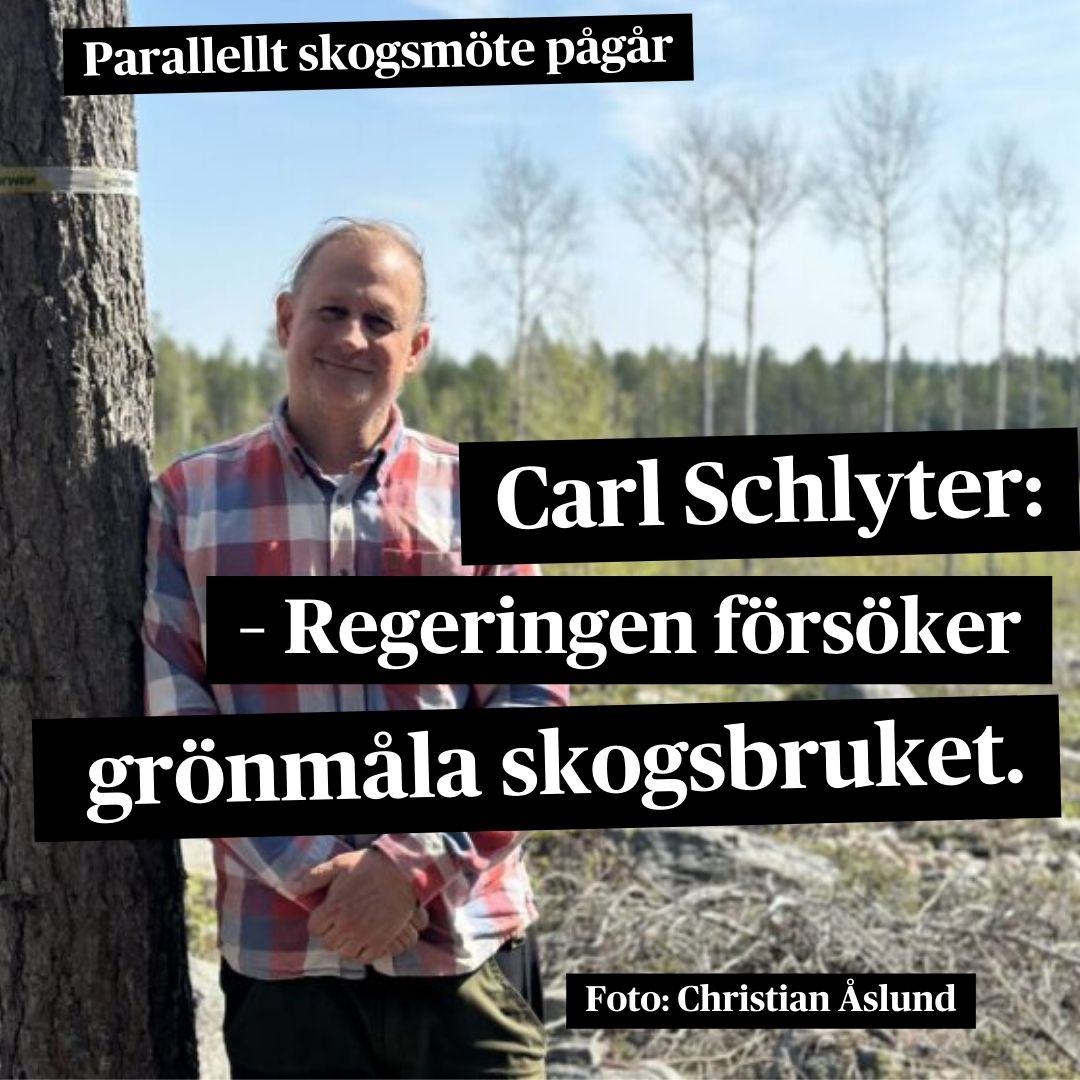 EU:s skogsansvariga anländer till Skellefteå de närmaste dagarna för ett stort skogsmöte under EU-ordförandeskapets flagga. Enligt <a href="/CarlSchlyter/">Carl Schlyter</a>, kampanjledare på <a href="/greenpeaceSE/">Greenpeace Sverige</a>, är den bild som regeringen lyfter fram av svenskt skogsbruk inte sann. Peter Al Fakir rapporterar.