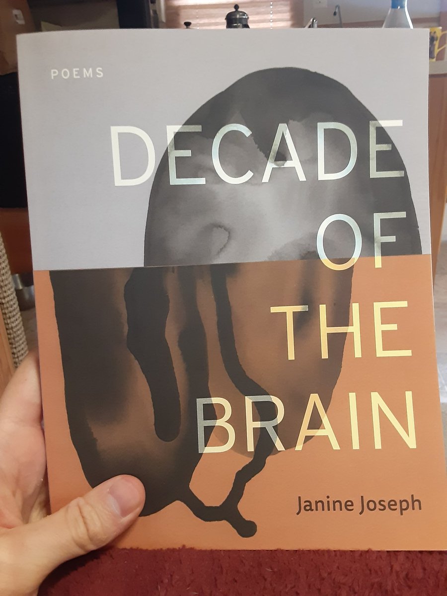 This month marks six years since my partner's brain injury. @ninejoseph's DECADE OF THE BRAIN (@AliceJamesBooks) is a remarkable expression of life after TBI.