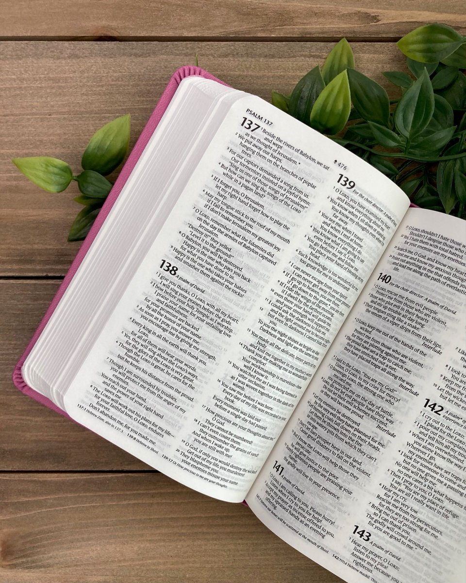 TyndaleBibles's tweet photo. Our beautiful Premium Value Compact is now available!
It's a great size to throw in a backpack or a purse, and it's Filament-enabled so you can access Bible study notes and resources through the app wherever you go!
https://t.co/1UwMHQGS78
#filamentbiblecollection https://t.co/44jk2jB7Qp