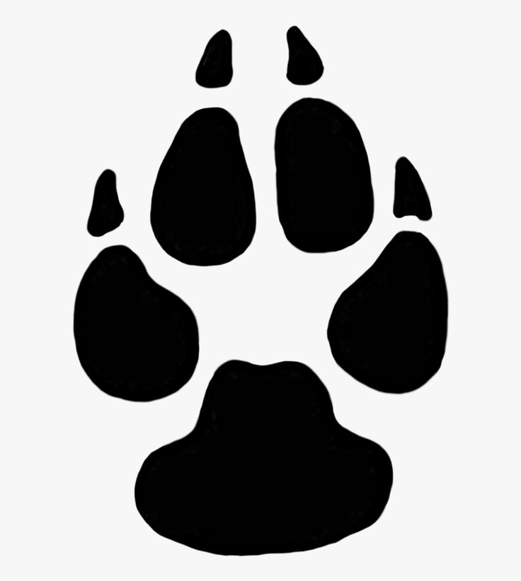 SFetching's tweet image. Need a nail trim!  Just call us and set up same day dremeling!