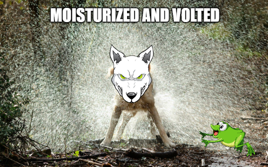 VoltInuOfficial's tweet photo. The #VOLT age coming to a swamp near you https://t.co/zu8ySSEAyy