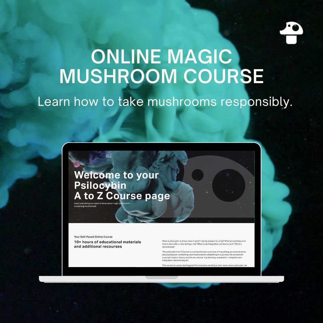 PsilocybinSf's tweet image. 🍄 Online Psilocybin Course 📚

Dive into a comprehensive program covering psilocybin mushrooms, trip preparation, history, science, safe use, and harm reduction. Gain a complete understanding and be prepared for your journey. 🌿🚀⁣

#PsilocybinCourse #ExpandYourKnowledge⁣