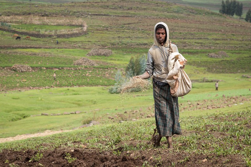 FeedtheFuture's tweet image. With a population of 112M+ people, #Ethiopia is one of the fastest-growing countries &amp;amp; economies in Africa. See how our focus on agriculture-led growth, as well as improvements in livelihoods, are working to combat chronic poverty &amp;amp; food insecurity. ow.ly/Y5Vf50OnSbr