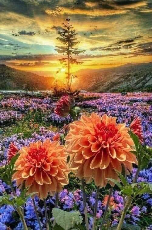 NATURALEZAV3's tweet photo. Feliz inicio de semana! https://t.co/4Yl7tk6Aok