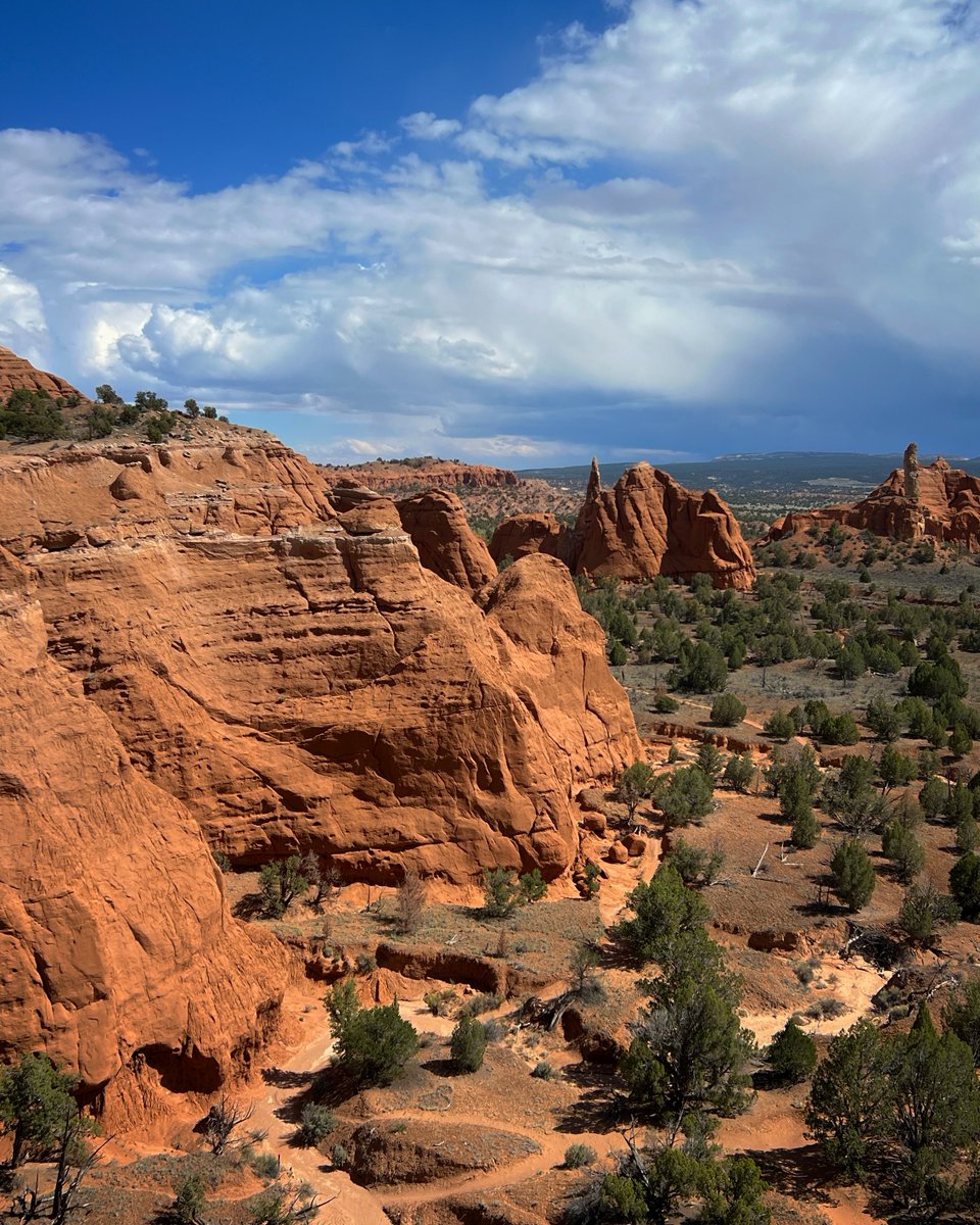 UtahIsAwesome's tweet photo. "This grand show is eternal. It is always sunrise somewhere; the dew is never all dried at once; a shower is forever falling; vapor is ever rising...eternal dawn and gloaming... each in its turn, as the round earth rolls."

– John Muir
#beautahful #utahunique #utah https://t.co/Z1D2TggP8I