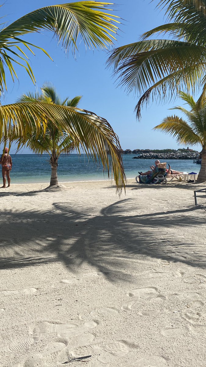 leedwright85's tweet photo. Who’s up for a cocktail?! 🇯🇲 https://t.co/e5yLORL1FI