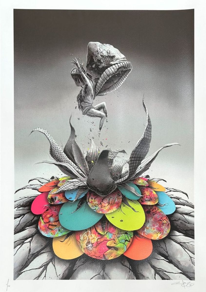 Graffiti Prints tweet media