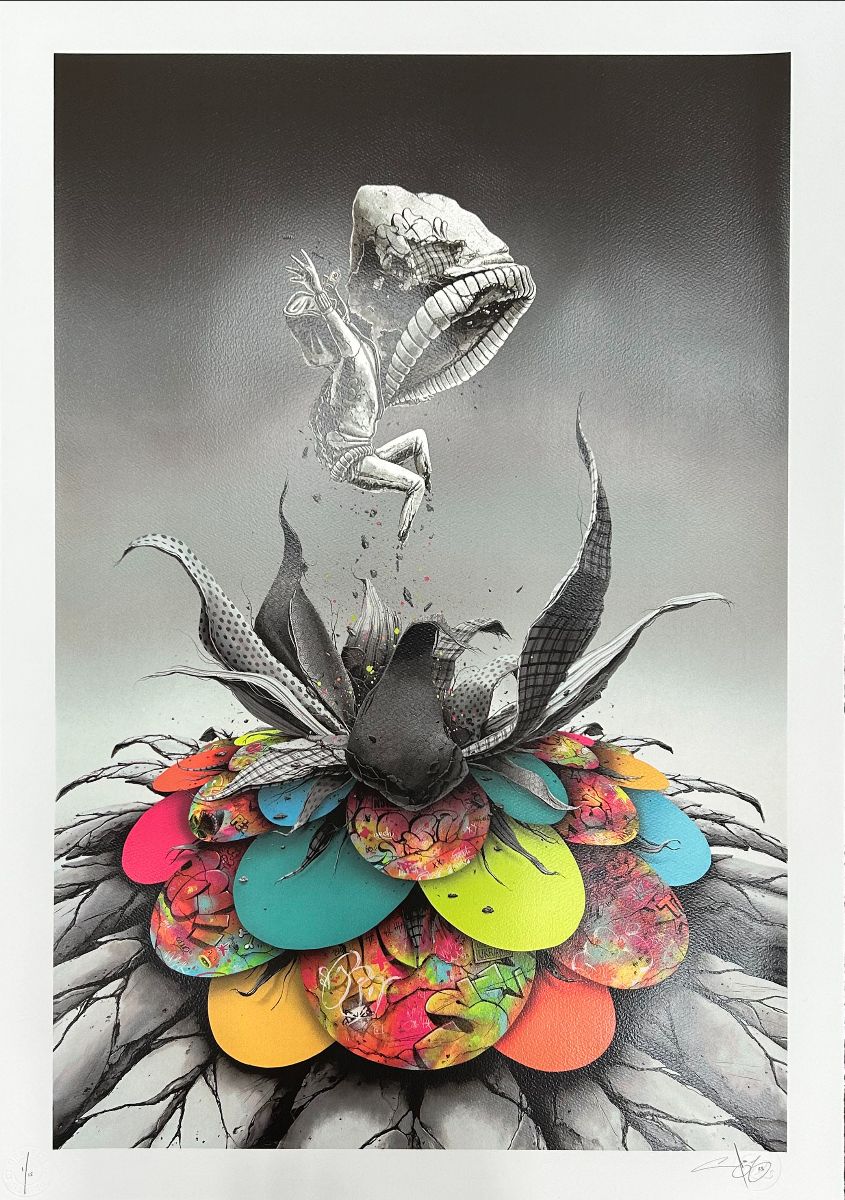 Graffiti Prints tweet media