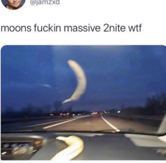 Out of Context Human Race (@nocontexthumans) on Twitter photo 