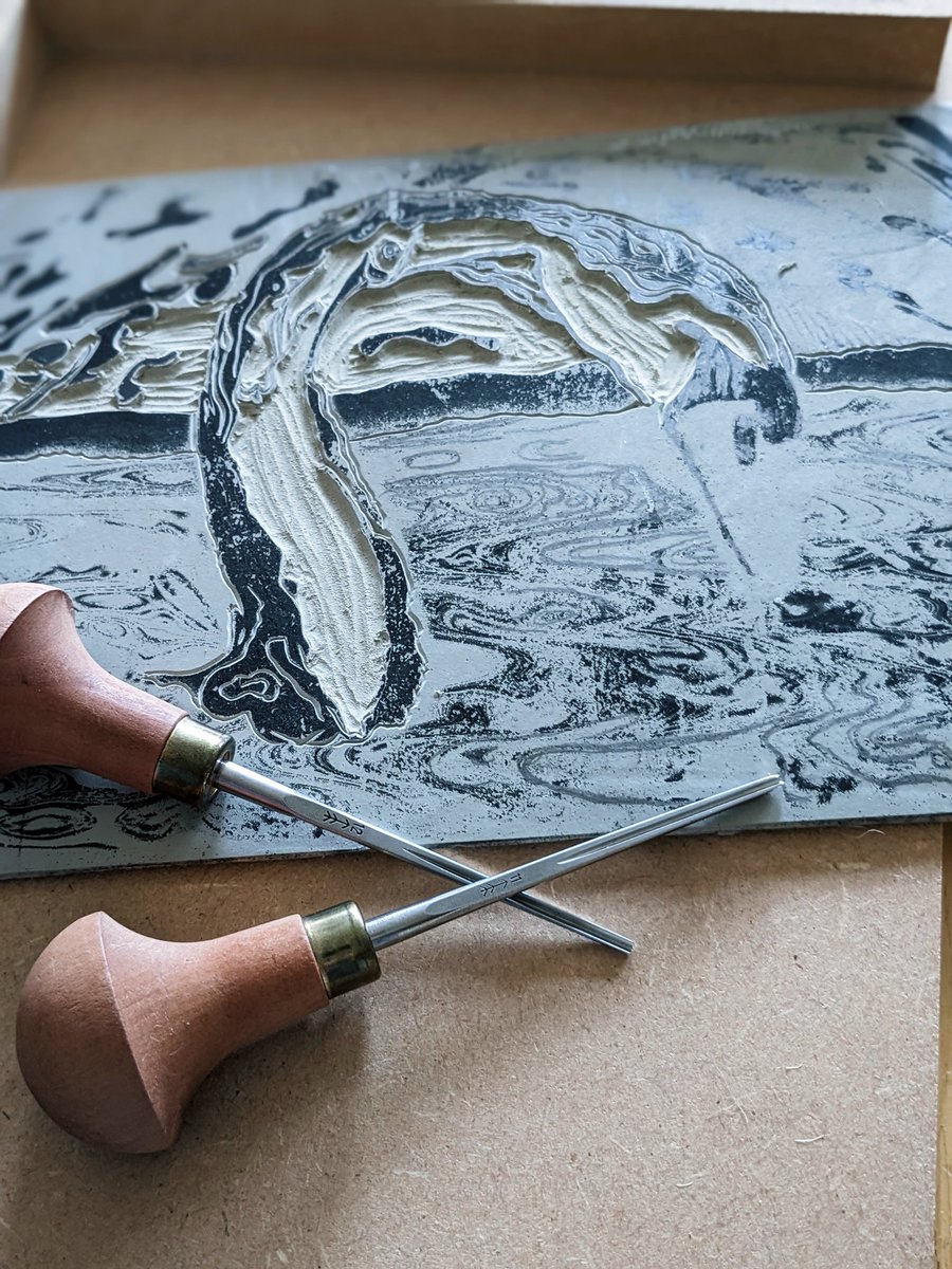InkyHarePrints's tweet photo. .....swan progress.....

#swan #muteswan #linoprint #linoart #linocutprint #linocut #birdart #birds #animalart #birdprint #irishart #irishartist #irishprint #etsy #printmakingprocess #printmaking https://t.co/ZDHcPer5Ia