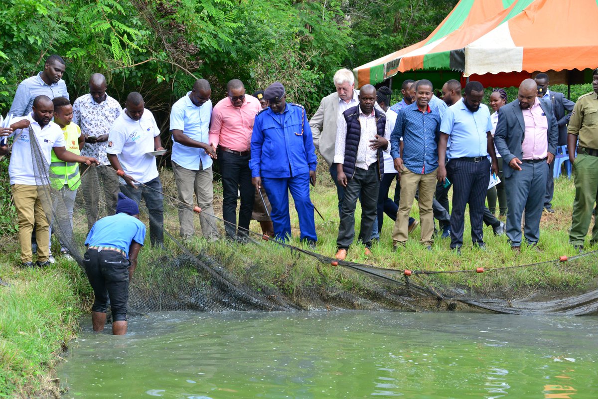 GovernorMwadime's tweet photo. Together with #IssaTimamy @EUAmbKenya & ambassadors from EU member states we were previleged to witness how youth are equipped with requisite knowledge & skills on aquaculture at the Tilapia Nursery in Dembwa funded by the EU @GermanyinKenya & @giz_gmbh #GlobalGateway #GoBlue https://t.co/5rhltwMj4n