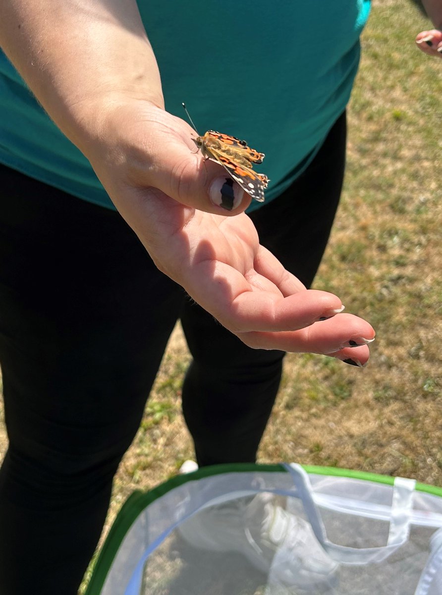 Rockfish Elementary tweet media