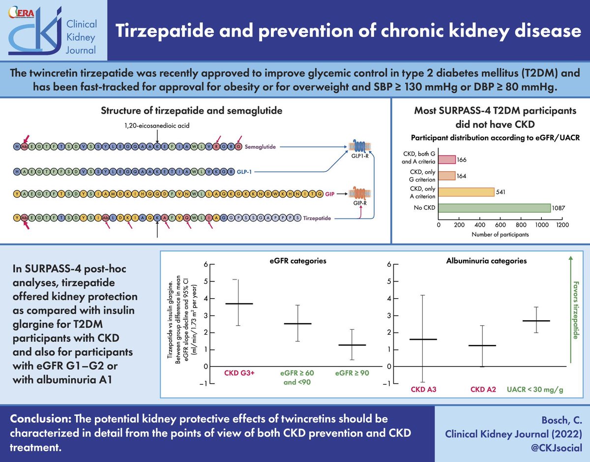 Trending on #ReadbyQxMD

Tirzepatide and prevention of chronic kidney disease: read.qxmd.com/read/37151412?…

From: @CKJsocial @Nefrontera @PepaSolerR @beaff26 

#CKD #NephTwitter