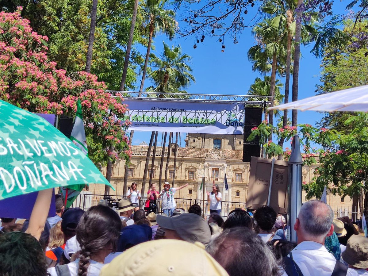 Ayer más de tres mil personas nos movilizamos en defensa de Doñana hasta plantarnos frente al Parlamento de Andalucía.

¡Contra la especulación sobre los espacios naturales y por la retirada de la propuesta de ley de Regadíos de PP y VOX!

#SalvemosDoñana #DoñanaSeDefiende