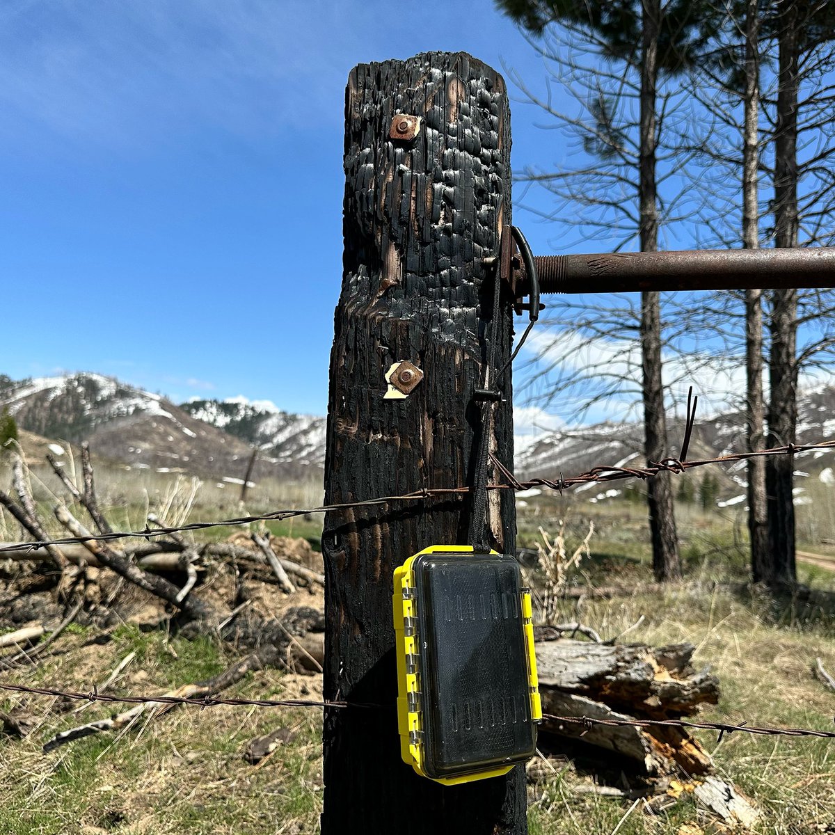 Ultrabox hanging around 
#underwaterkinetics #uwk #americanmade #usa #madeintheusa #ultrabox #adventureready #outdoors #explore #gearbox #hiking #exploring #hardcase #weatherproof #idaho #burned #mountains #spring #whatgetsyououtdoors