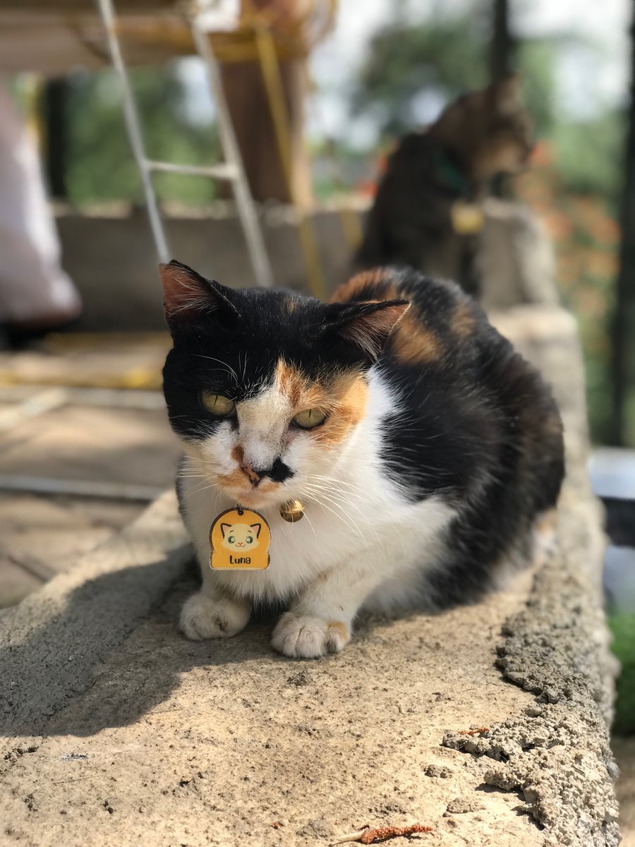 https17v's tweet image. #shootbyphone 
#ip7+