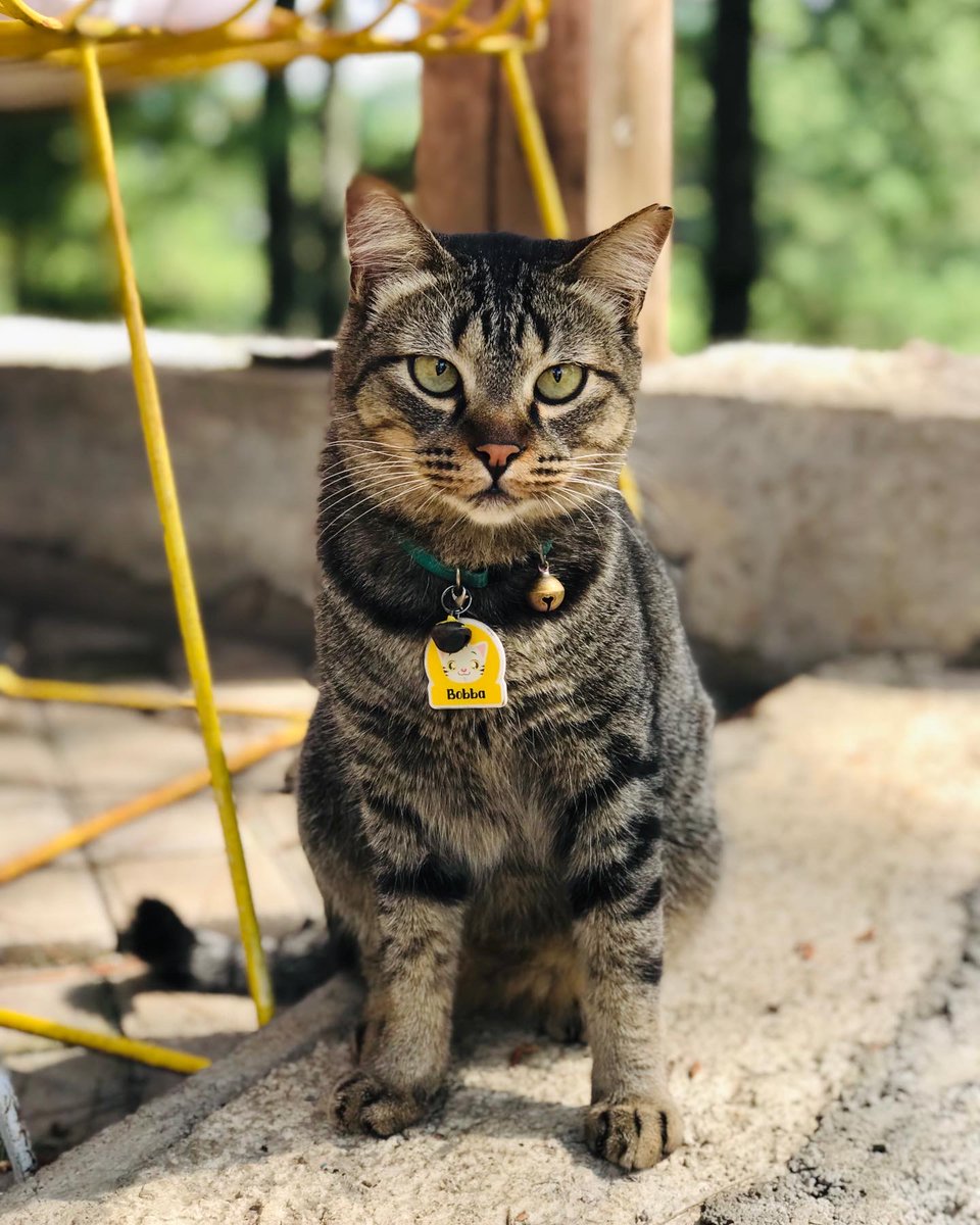 https17v's tweet image. #shootbyphone 
#ip7+