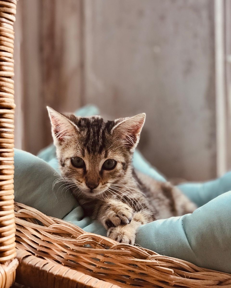 https17v's tweet image. #shootbyphone 
#ip7+