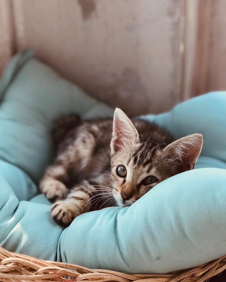 https17v's tweet image. #shootbyphone 
#ip7+