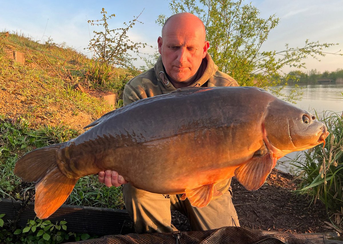 XXL <a href="/THERISE/">The Rise</a> .