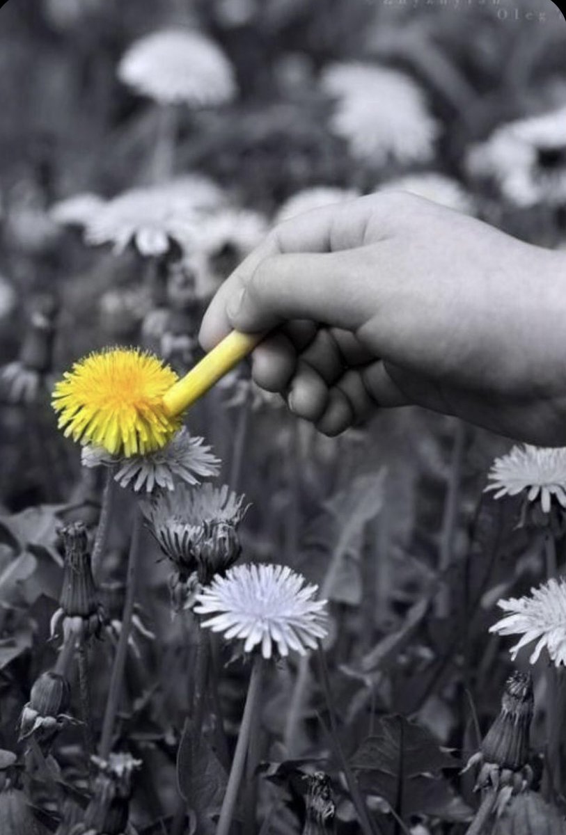 اللحظة التي تُوكِّل فيها أمرك كله لله هي اللحظة ذاتها التي يُسخَّر لك فيها الكون كله بما فيه "..♡