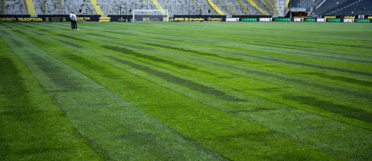 SVTSport's tweet photo. Varnar om gräsmattan på Friends arena: "Kommer upplevas som sämre"
https://t.co/lVcY7V1R1a https://t.co/XrcYt1HDnk