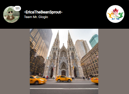 This do-gooder was on vacation in New York and took the time to complete the ‘Act of Kindness a Day’ challenge. She reflected on homelessness and took time to help someone a little down on their luck. Her post was truly inspiring and is what The Social Impact Games is all about.