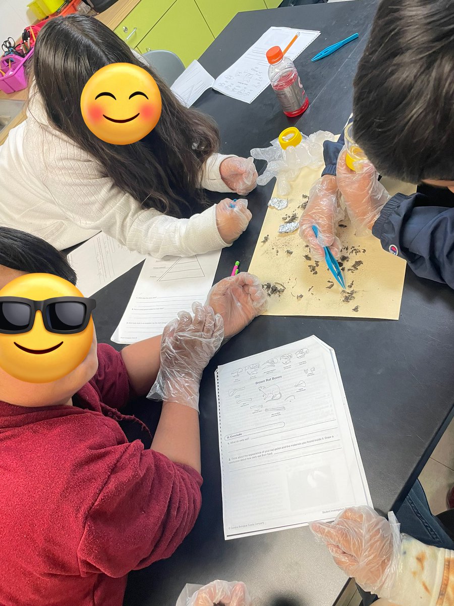 edlyn_mares's tweet photo. Students dissect owl 🦉 pellets and search for bones. #foodchain #ecosystem @PughRamsHISD https://t.co/KU8ftjSAM1