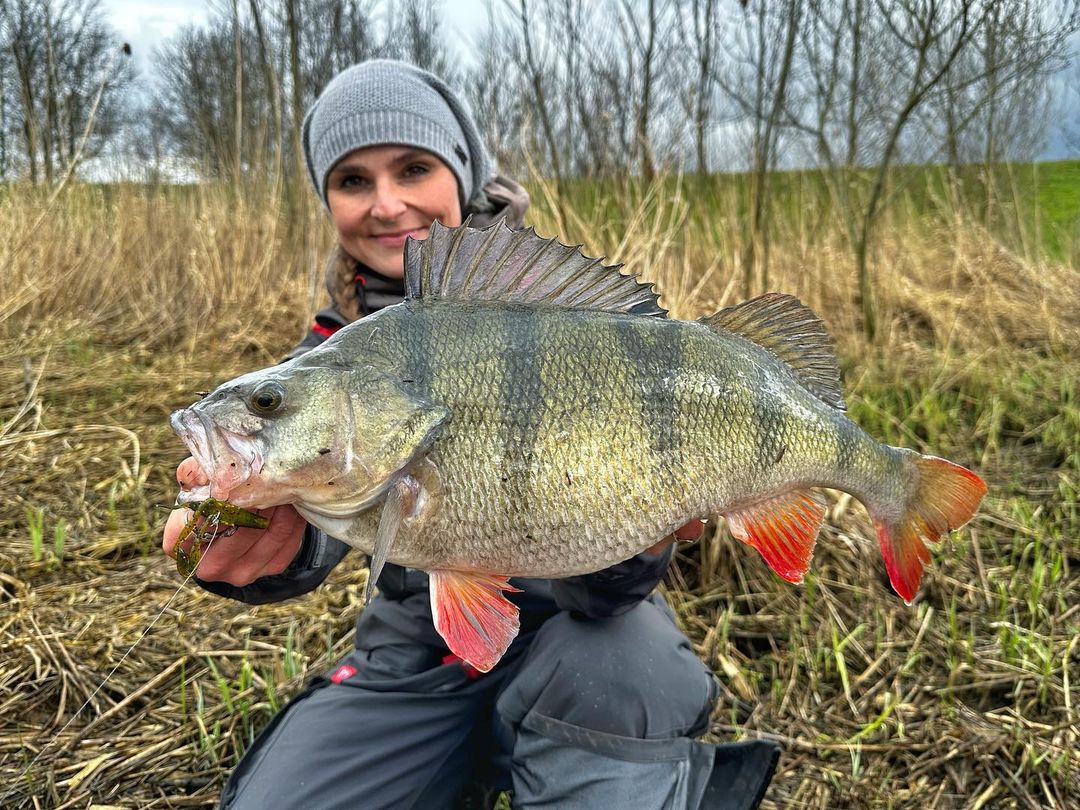 Rate the catch! 
#fishingtrip #fish #fishing