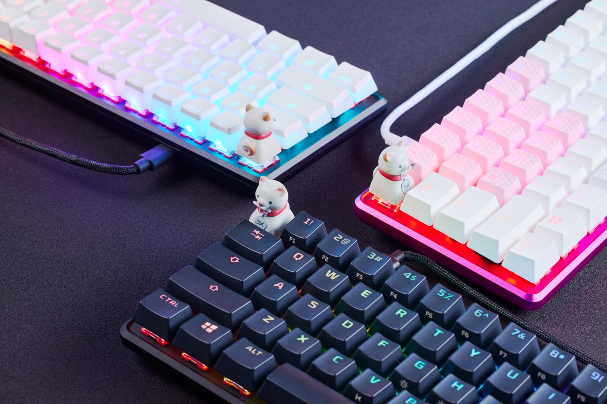 🎉 SURPRISE 🎉

We've teamed up with @Valkyrae to bring you our newest 3D printed keycap 😍

🐶 MIKA THE SHIBA 🐶

⏳ LIMITED TIME ONLY ⏳
Friday 5/19 9AM PDT 💯🔥
>> hyperx.gg/mika