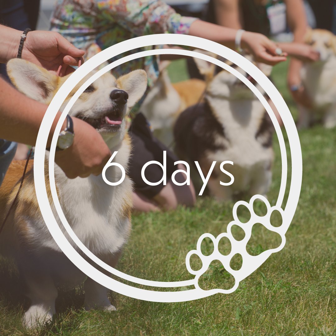 There are only 6 days until our Family Fun Day and Dog Show.

Check out what's happening on our website here lodders.co.uk/family-fun-day…