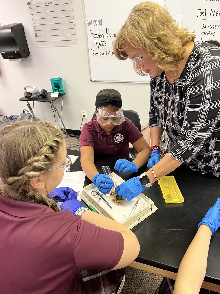 SCAJRHIGH's tweet photo. It’s that time of year again! 🐸🪱🥽🥼🔬 Our students love science with Ms Brown! 💯 https://t.co/AQD62RQLf0