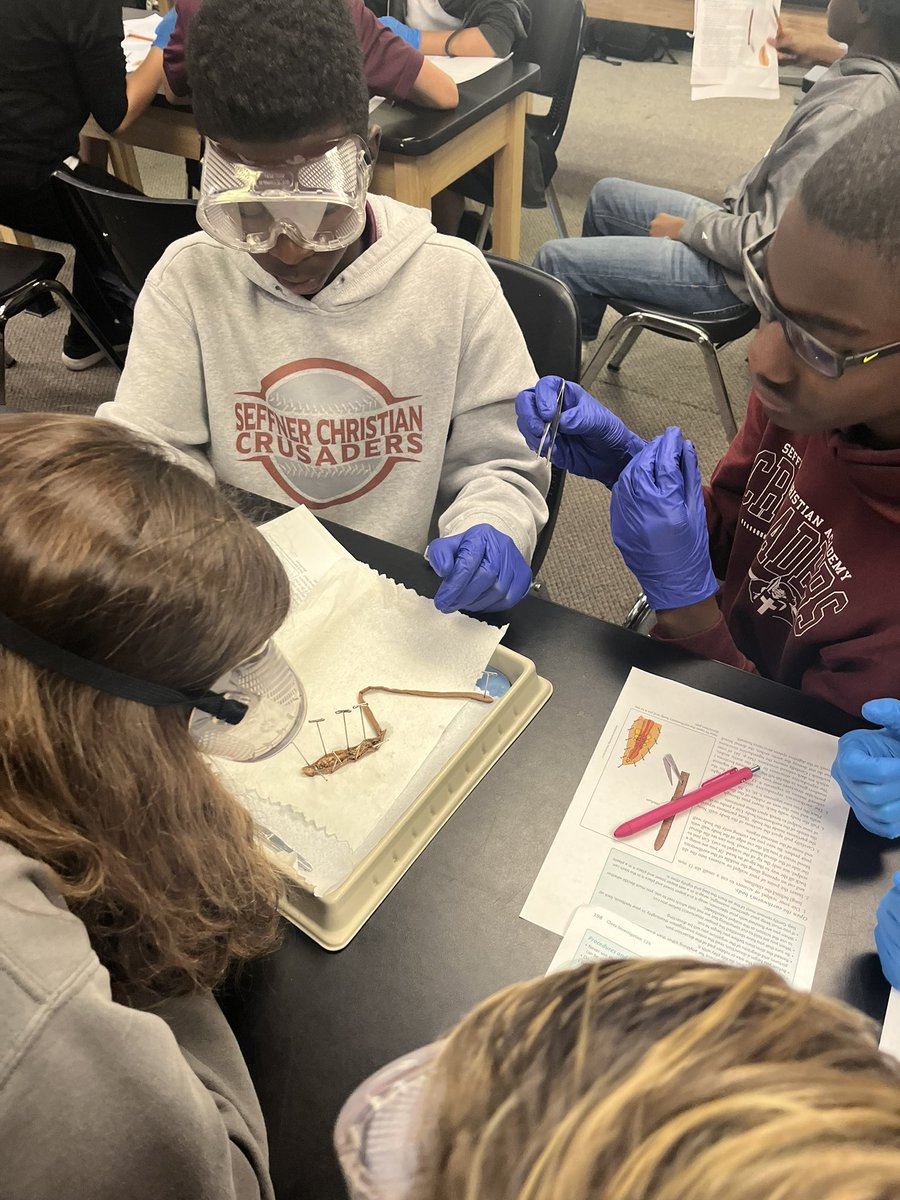 SCAJRHIGH's tweet photo. It’s that time of year again! 🐸🪱🥽🥼🔬 Our students love science with Ms Brown! 💯 https://t.co/AQD62RQLf0