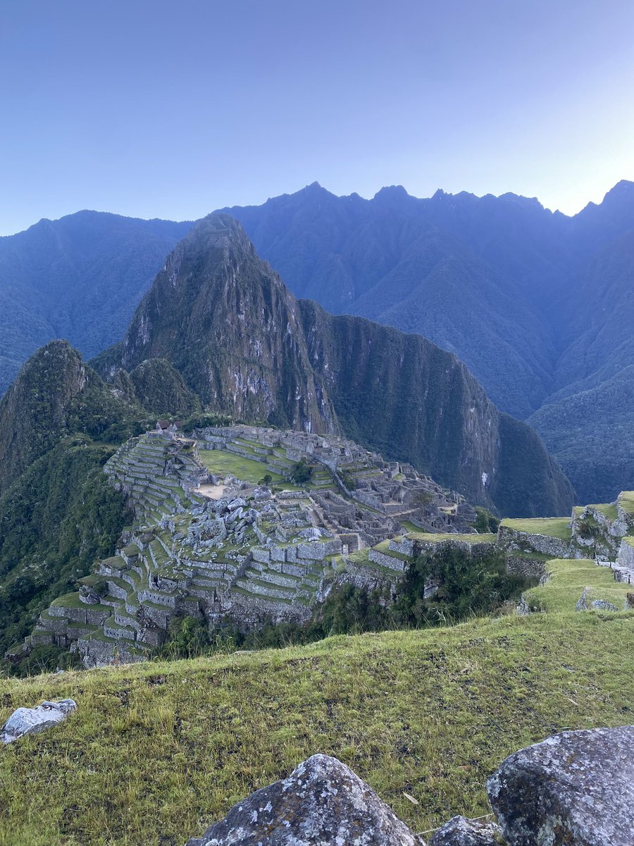 Dr Lauren Young tweet media