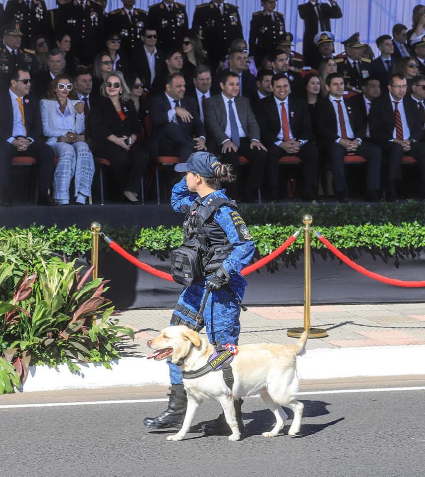 Diego Meza tweet media