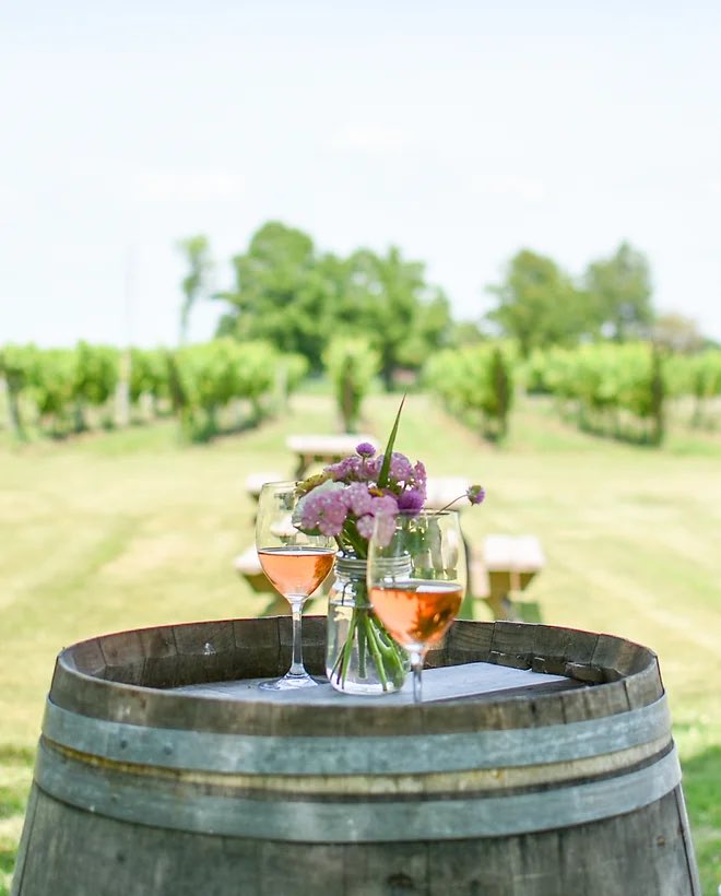 Meet the Member Monday! 

Vivace Estate Winery brings our love of wine and a passion of grape growing, with a focus on quality production. Vivace is located in Southwestern Ontario’s premier wine country. A short scenic drive along the Detroit River south of Windsor.