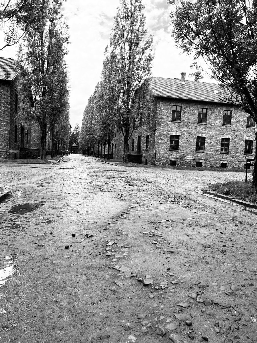 LadyForestPink's tweet image. Incredibly emotive… @AuschwitzMuseum #unfathomable #incomprehensible @Beardo7