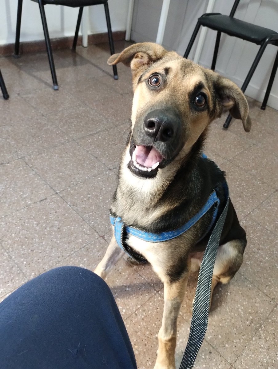 PaulayRacing's tweet photo. Esa cara #Angue https://t.co/WkKRPBcxM8