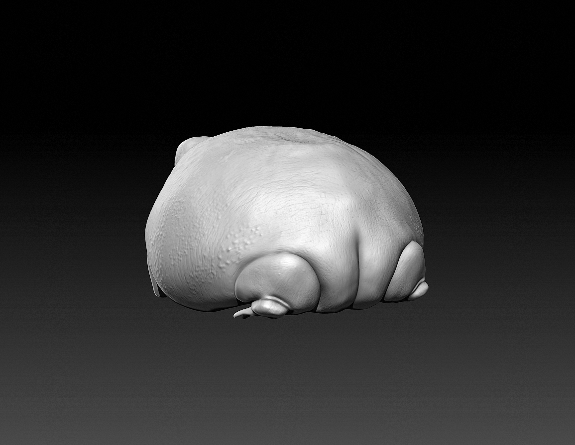 Frog speedsculpt, the butt was the hardest part, no joke.