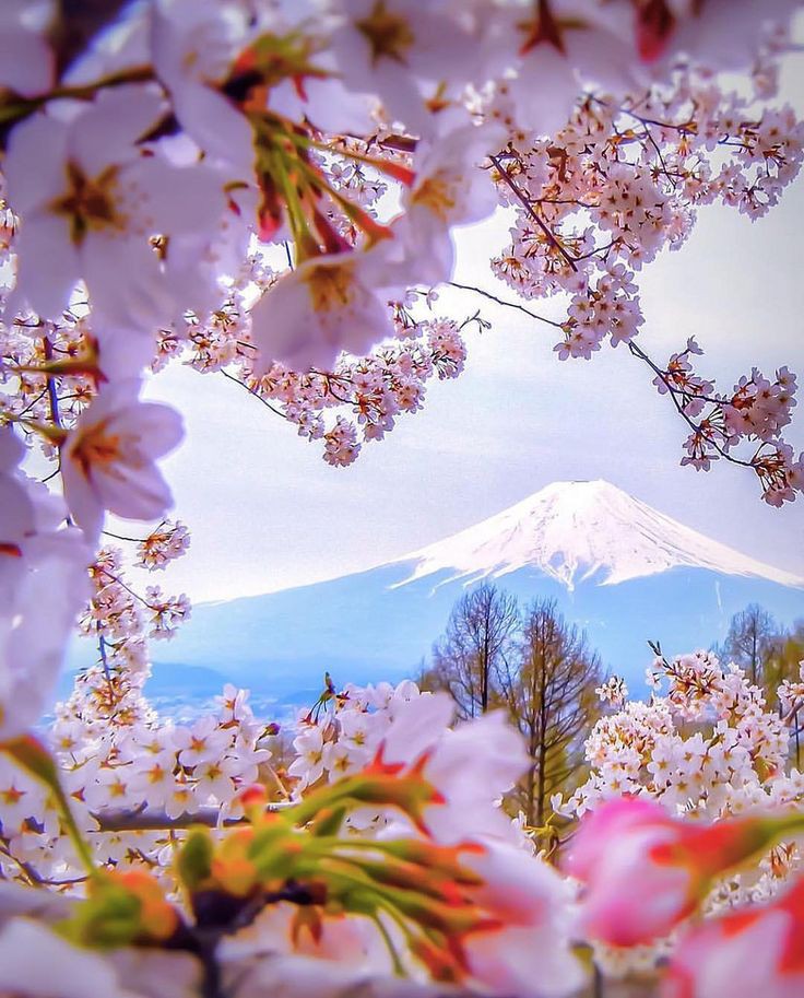 Mount Fuji Japan 🗾