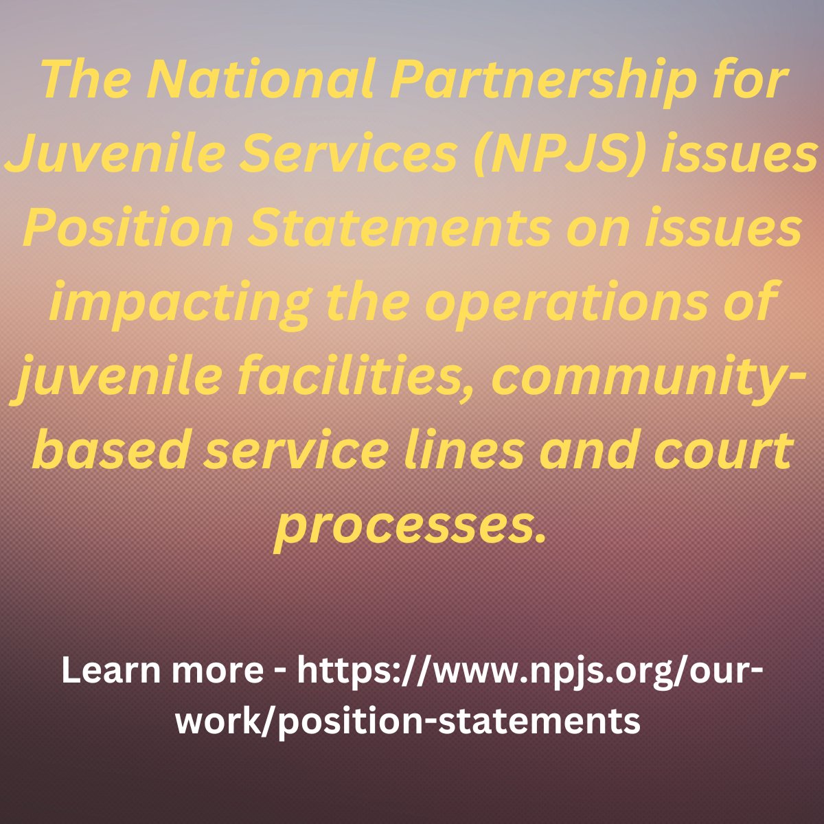 #PositionStatements #juvenileservices #juvenilejustice #juvenilefacilities #communitybasedservices

NPJS.org