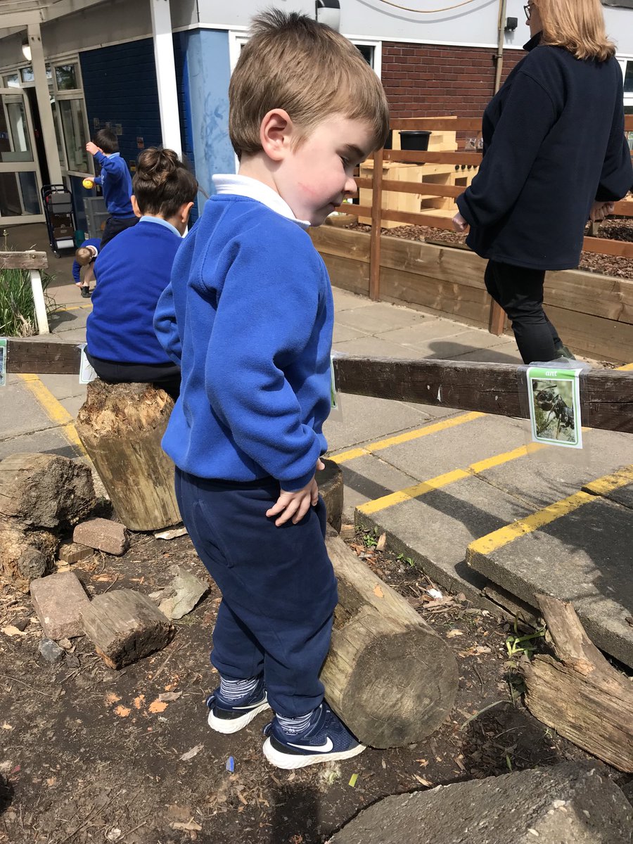 WroxhamEYFS's tweet photo. Trying to find the hidden mini beasts today! #Wroxhameyfs @MrsLucyWilliams @WroxhamSchool #Wroxhamscience https://t.co/43WmqkWMUP