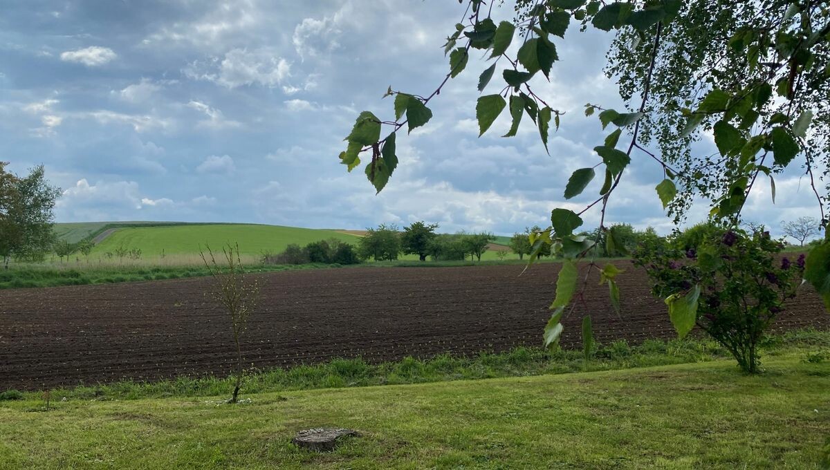 ici_alsace's tweet photo. En Alsace, les pluies de printemps retardent le travail des agriculteurs
➡️ https://t.co/CXSaMHSOQc https://t.co/iaShDjlBbE