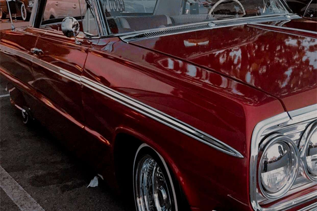 ┊ ༑ ࿐ྂ。𝐑𝐈𝐂𝐊𝐘 𝐃𝐎𝐋𝐀𝐍 ―  
𝚃𝚘𝚝𝚊𝚕 𝙳𝚛𝚊𝚖𝚊. 

Independent portrayal of a Total Drama OC, not affiliated with Fresh TV. Lewd accounts will be blocked.