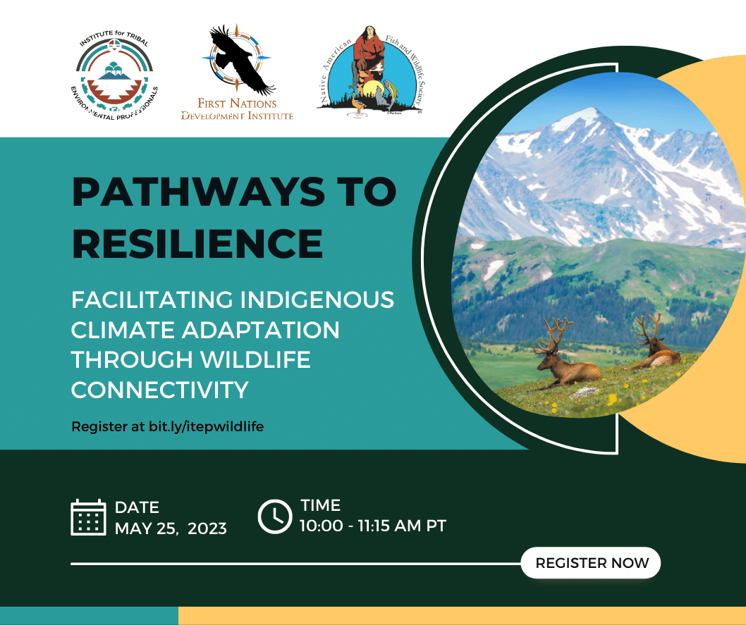 ITEP_CC's tweet photo. Don't miss our upcoming webinar exploring the cultural and ecological importance of connected wildlife habitats for Indigenous communities!
May 25th, 2023!!!!
Register now at https://t.co/0NDH3D9Zlz!
#wildlifeconnectivity #indigenou #climateadaptation #pathways https://t.co/agsAqlAhiq