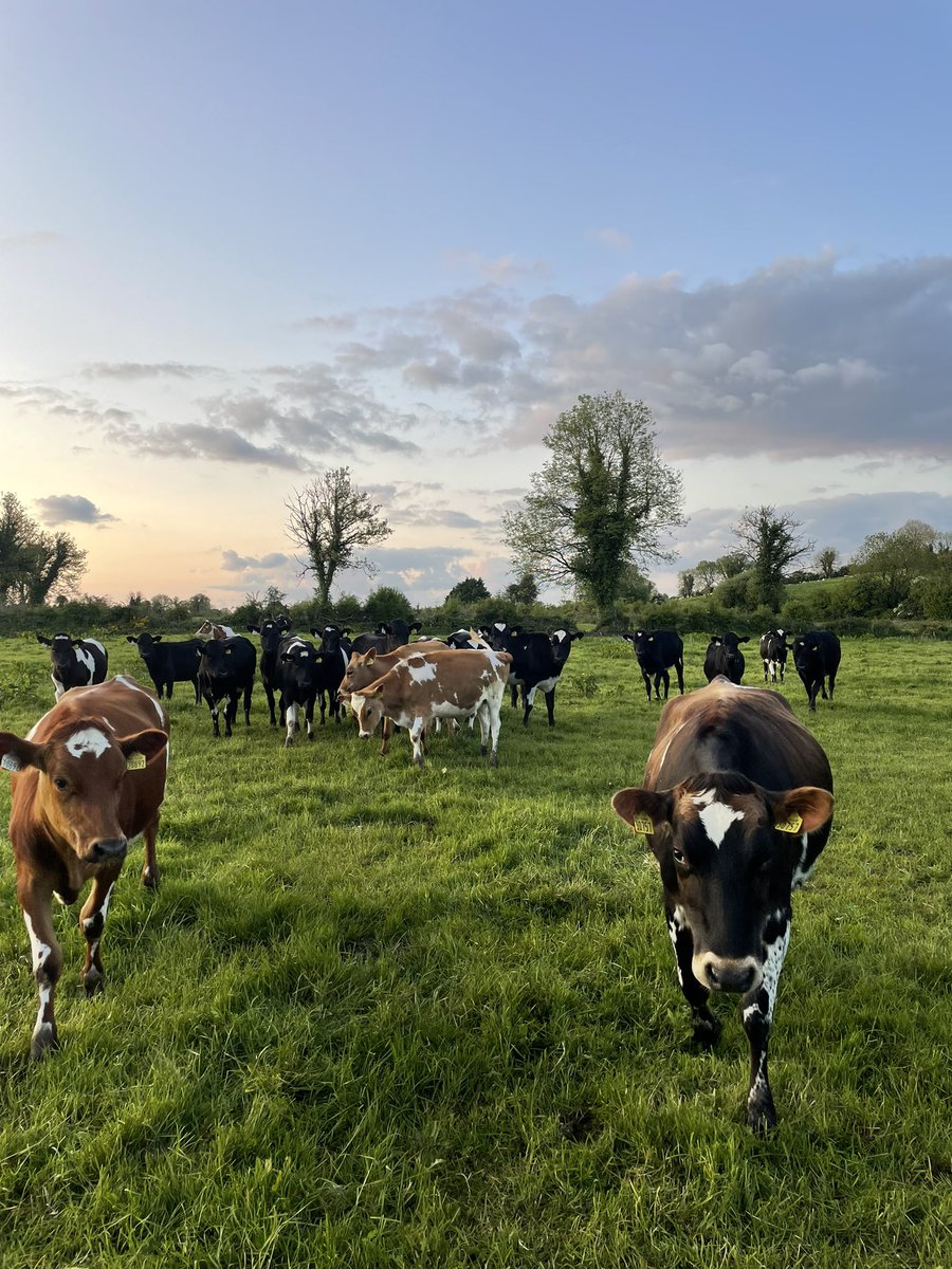 Feels like summer 🌞