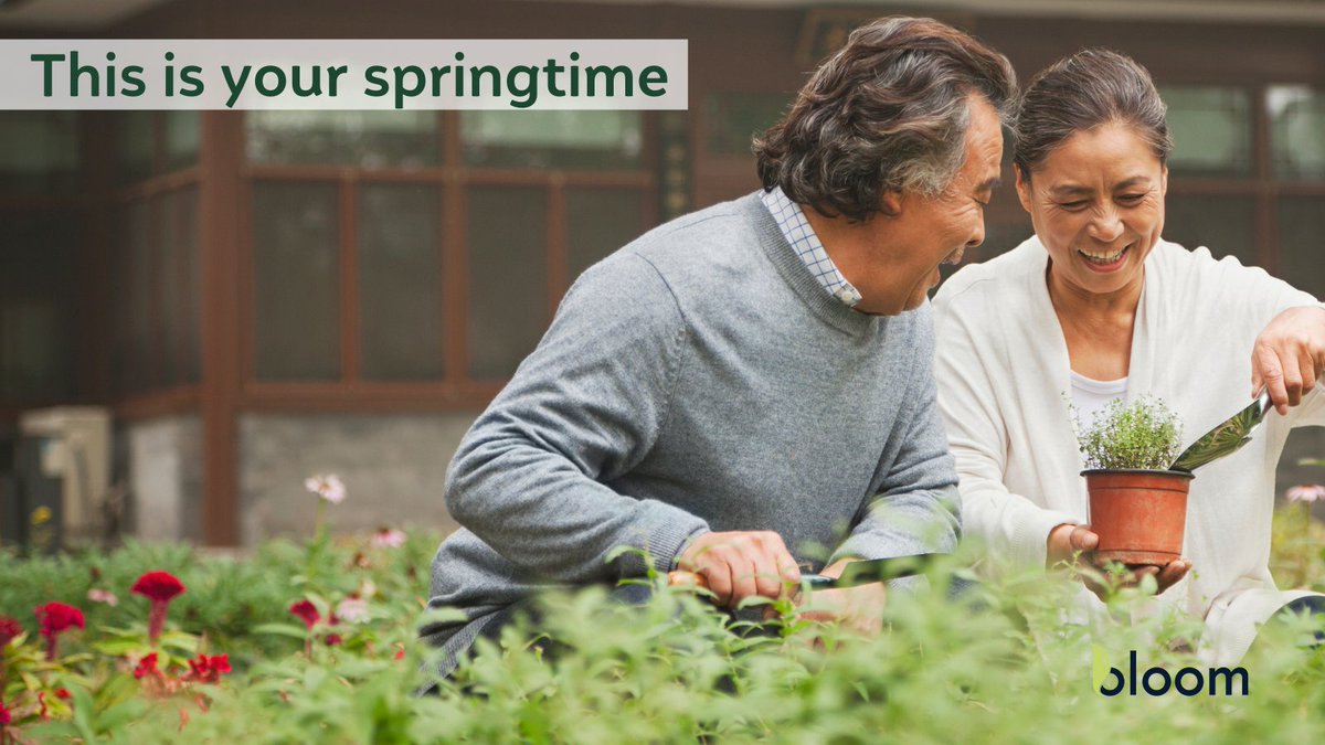 Do the things you love most in retirement - without financial stress. 

Enjoy the springtime of your life.

Call now: 1-866-882-5666 or welcome.bloomfin.ca

#reversemortgage #retirementplan 
#retirement