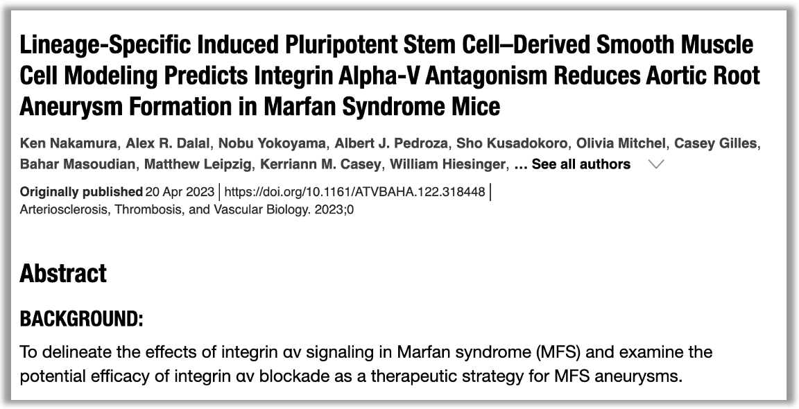 New @atvbahajournals pub by @StanfordCTSurg & team on potential therapy to inhibit Marfan syndrome aneurysmal growth using lineage-specific iPSC–derived smooth muscle cells. Sr. author Dr Mike Fischbein, co-1st authors @ardalal_MD & Ken Nakamura, et. al …