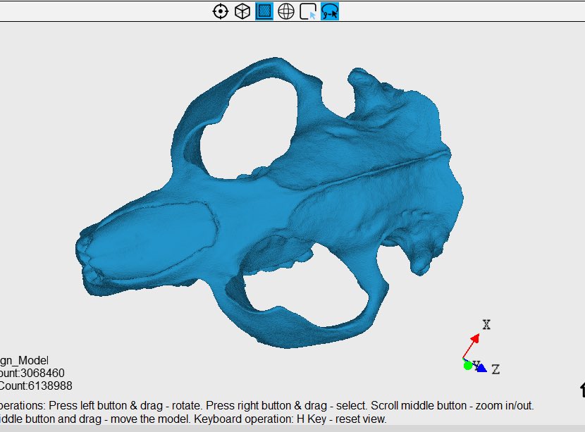 UCDSBDistanceED's tweet image. The digital world and the natural world are coming together in an amazing Real-World Learning project at @PakenhamSchool 

We worked w/ students to 3D scan &amp;amp; 3D print a replica beaver skull for use by visitors to a local Nature Reserve.  

@ucdsb_rwl #ucdsb @dremel @Revopoint3d