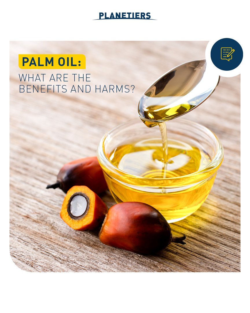 Palm oil can be used in a thousand different ways, but is it really beneficial?
On our last article we explore the pros and cons of palm oil production and consumption. 👇 

swki.me/Uv3se19Y
 #palmoil #sustainability #environment #consciousconsumption